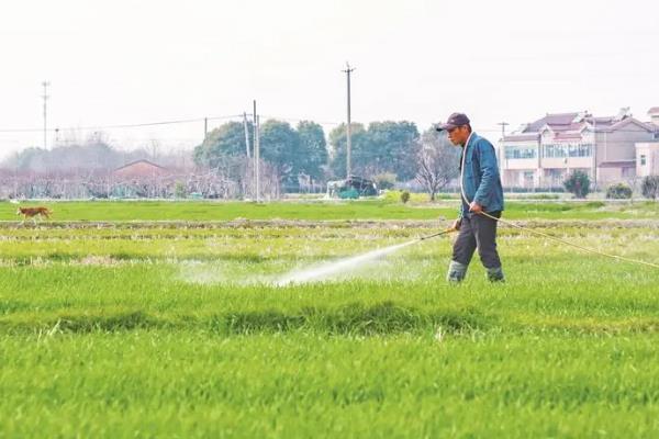 农药残留有什么危害，会对人体健康、农业生产、进出口贸易产生不利影响