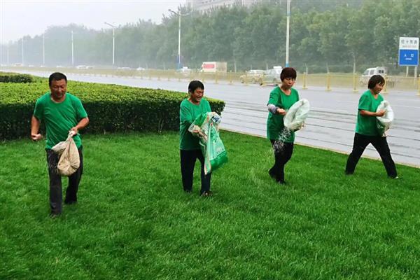 追施尿素的适宜时间，雨后或阴天使用比较合适