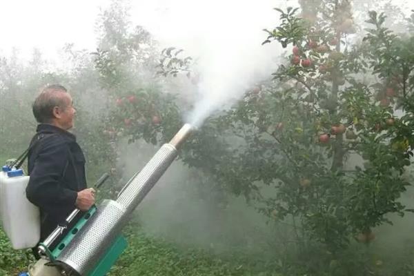 二嗪磷能杀什么虫，主要用于防治刺吸式口器害虫